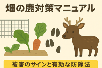 畑の鹿対策マニュアル|被害のサインと有効な防除方法