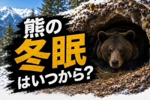 熊の冬眠はいつからか