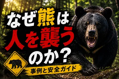 なぜ熊は人を襲うのか
