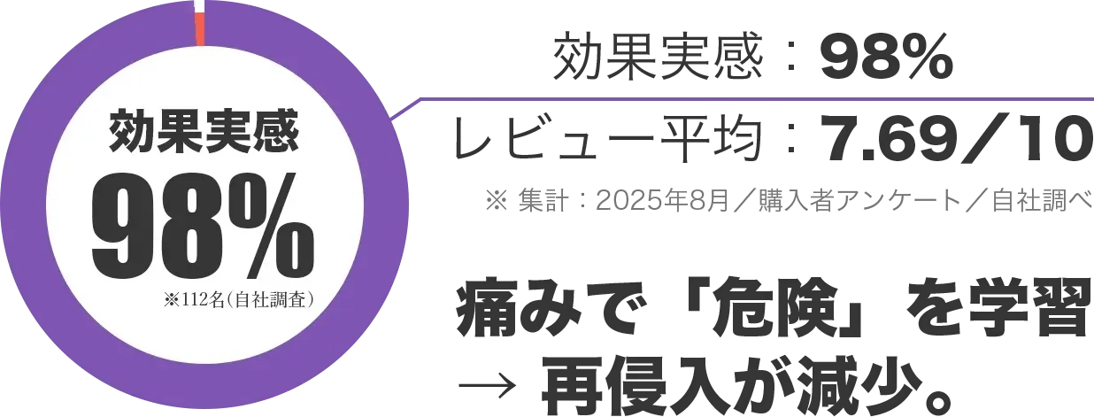 効果実感レビュー