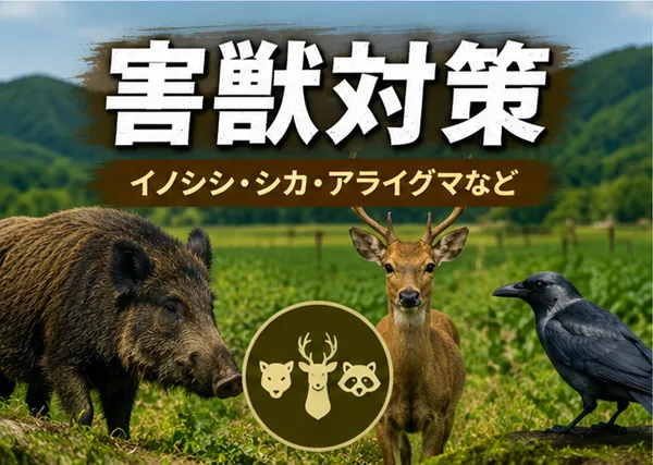 害獣対策